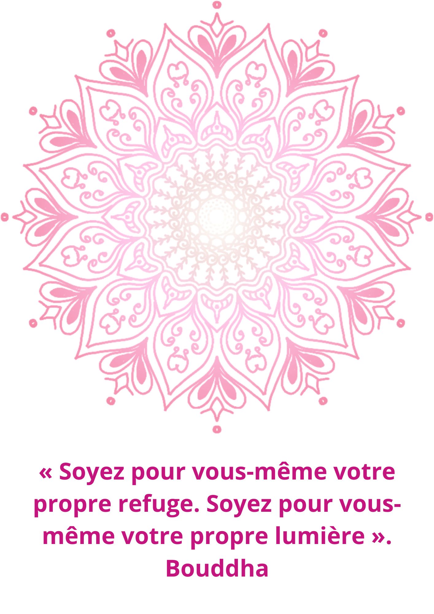 CITATION 104