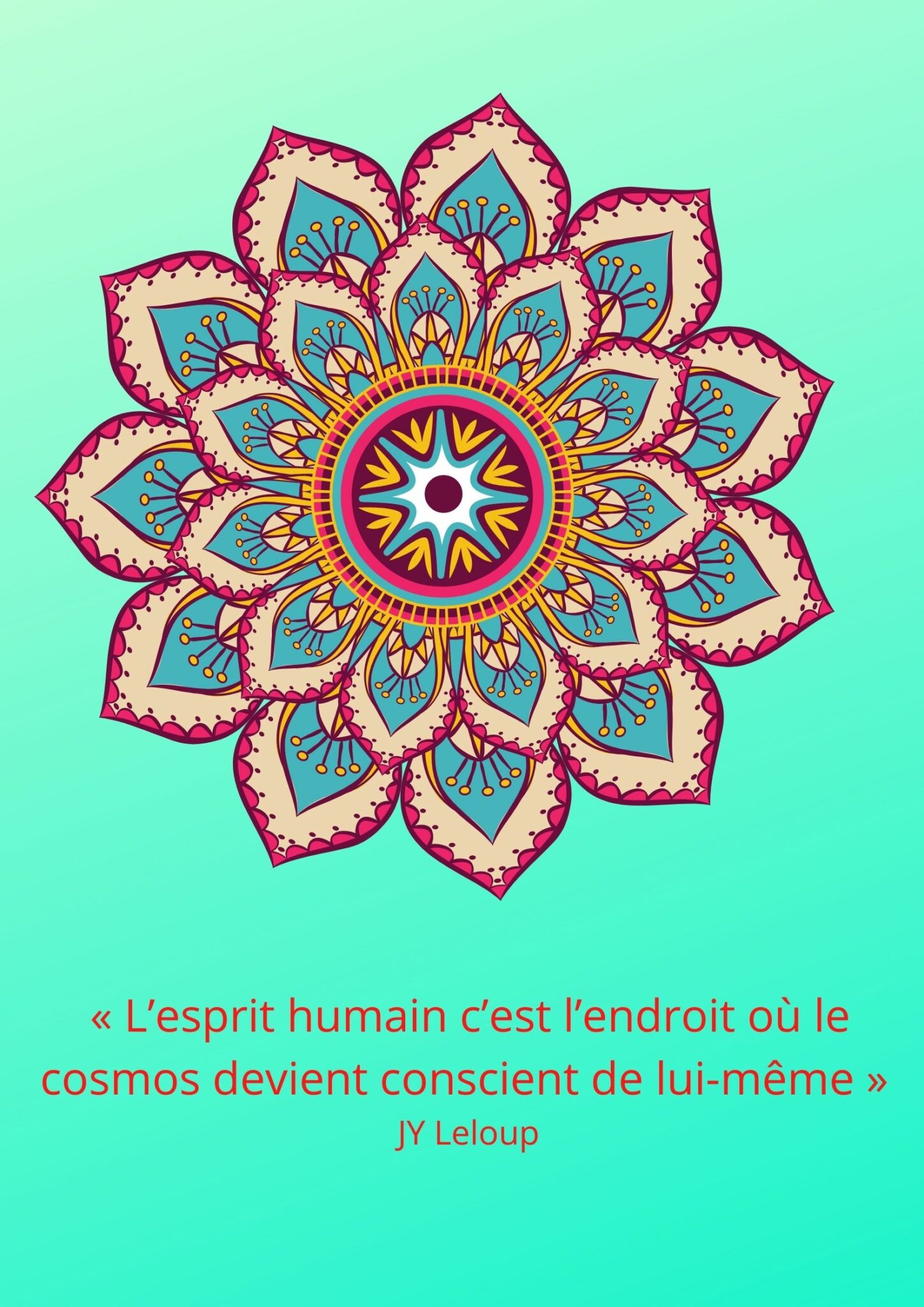 CITATION 15