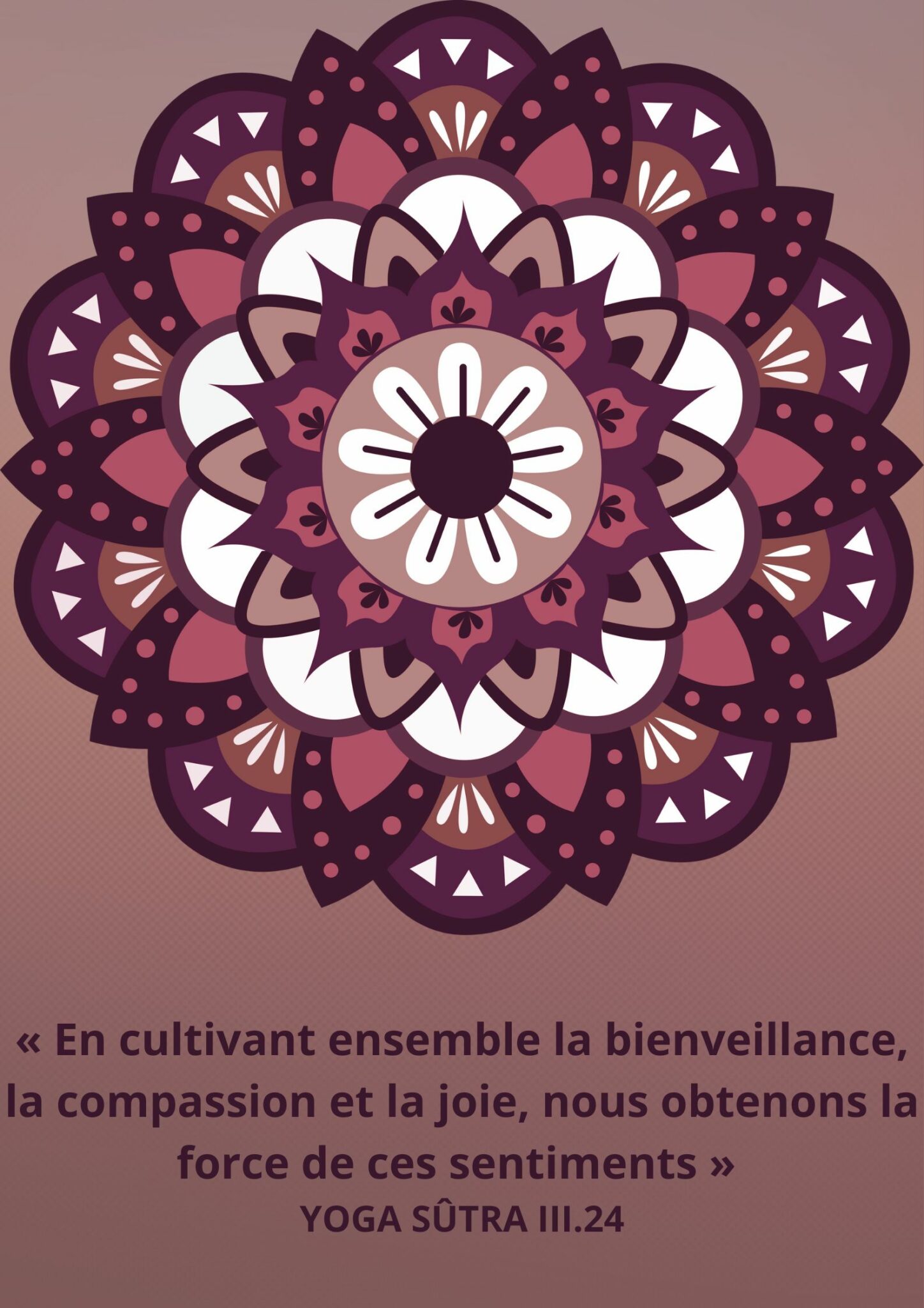 CITATION 29