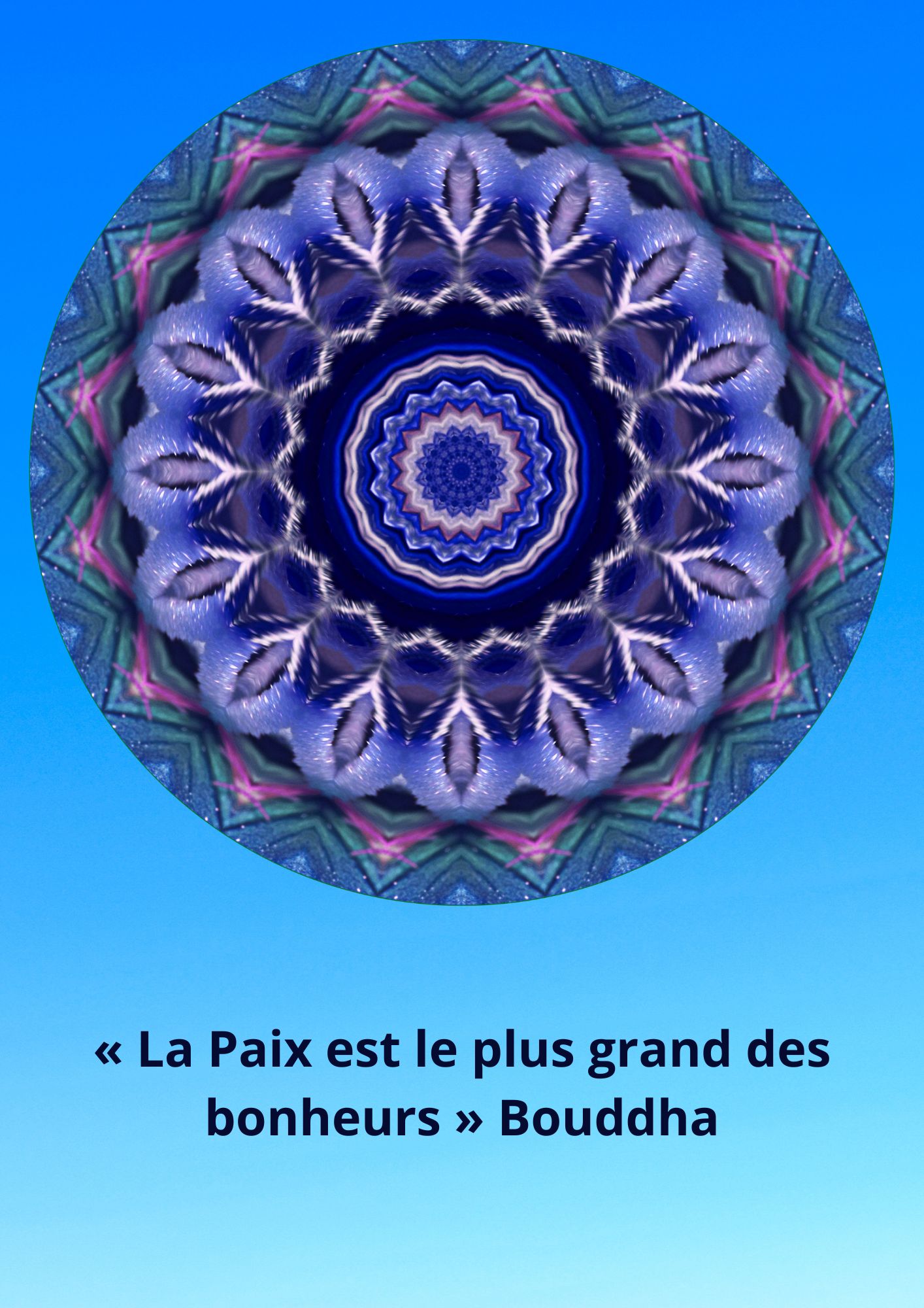 CITATION 93