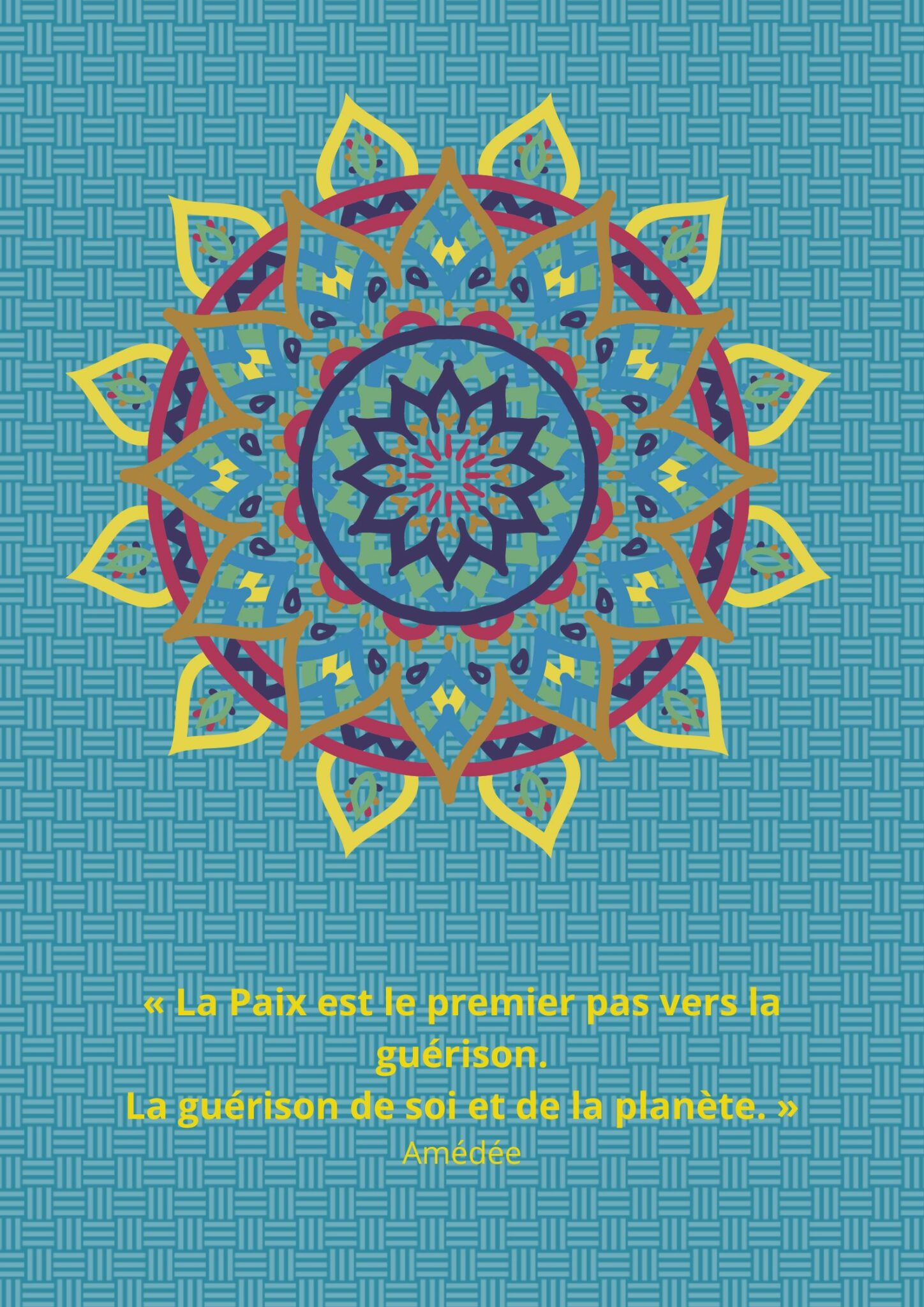 Citation 20