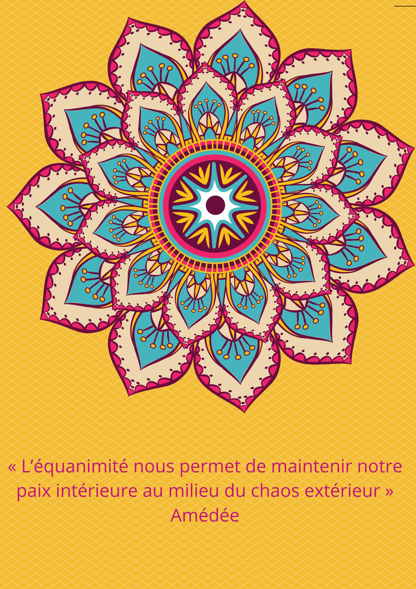 Citation 212 - 1