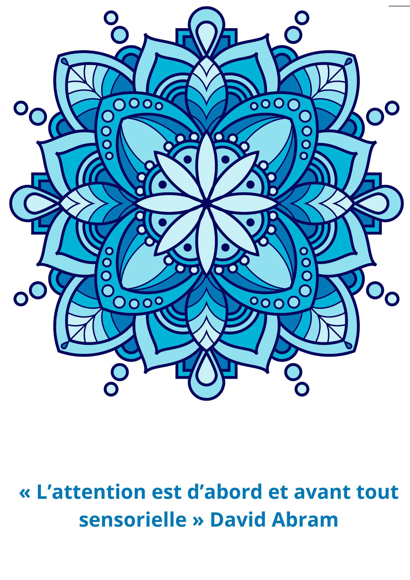 Citation 220 - 1