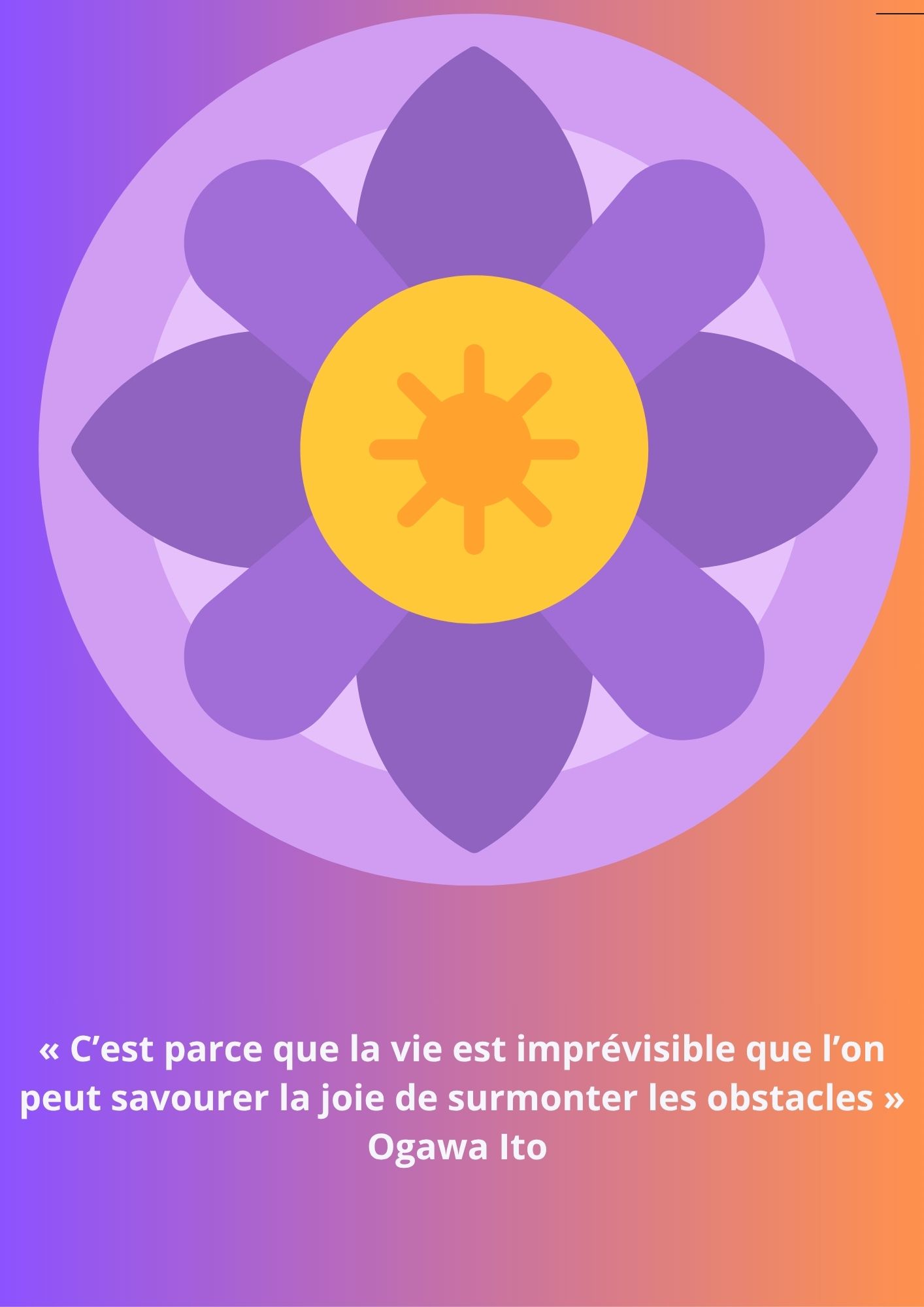 Citation 223