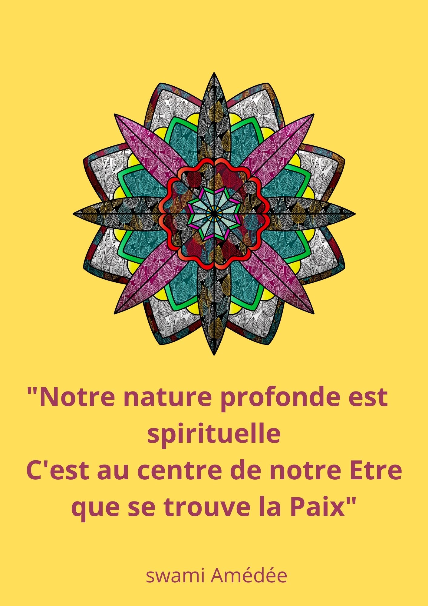 Citation 3 FB