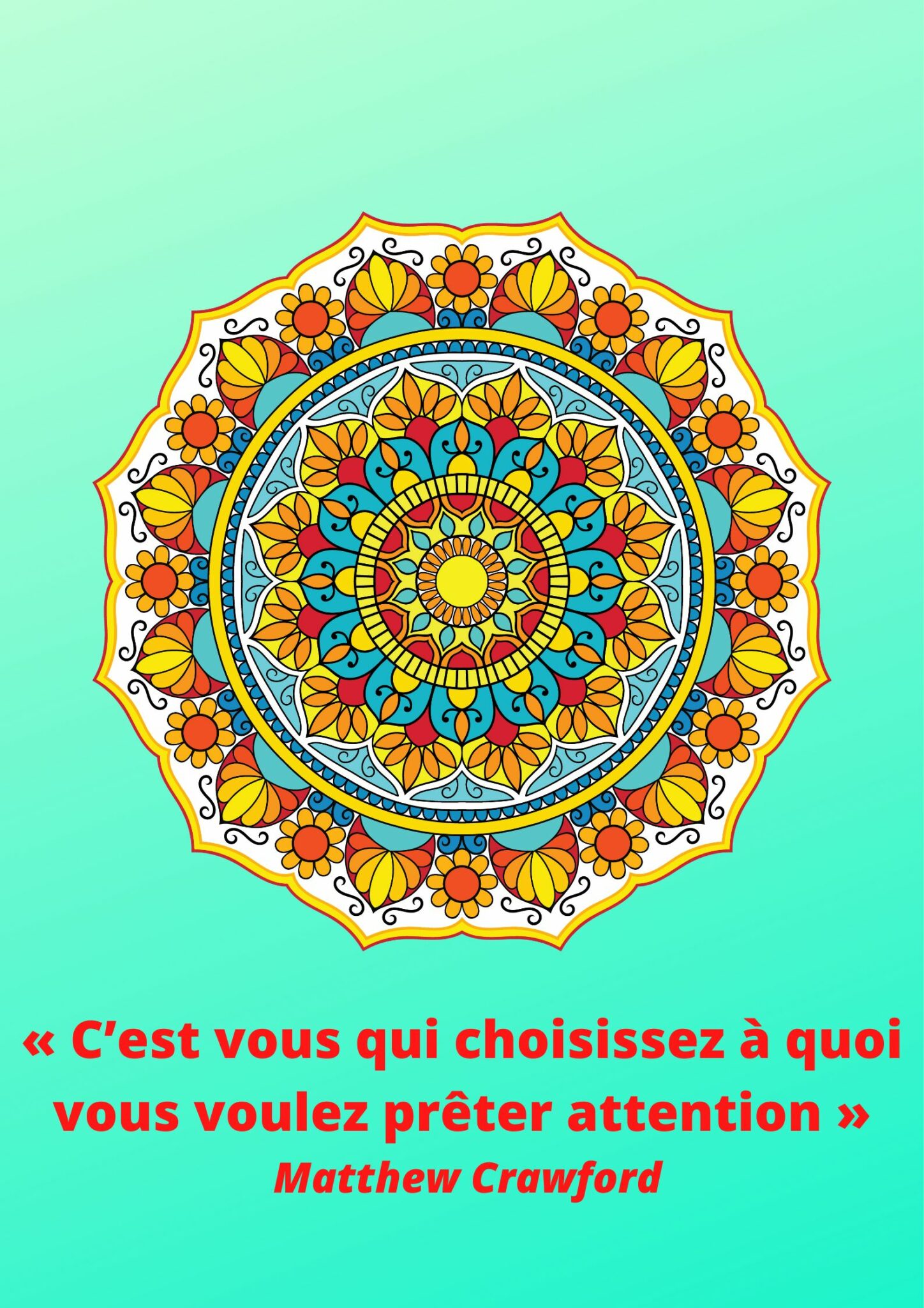 citation 13