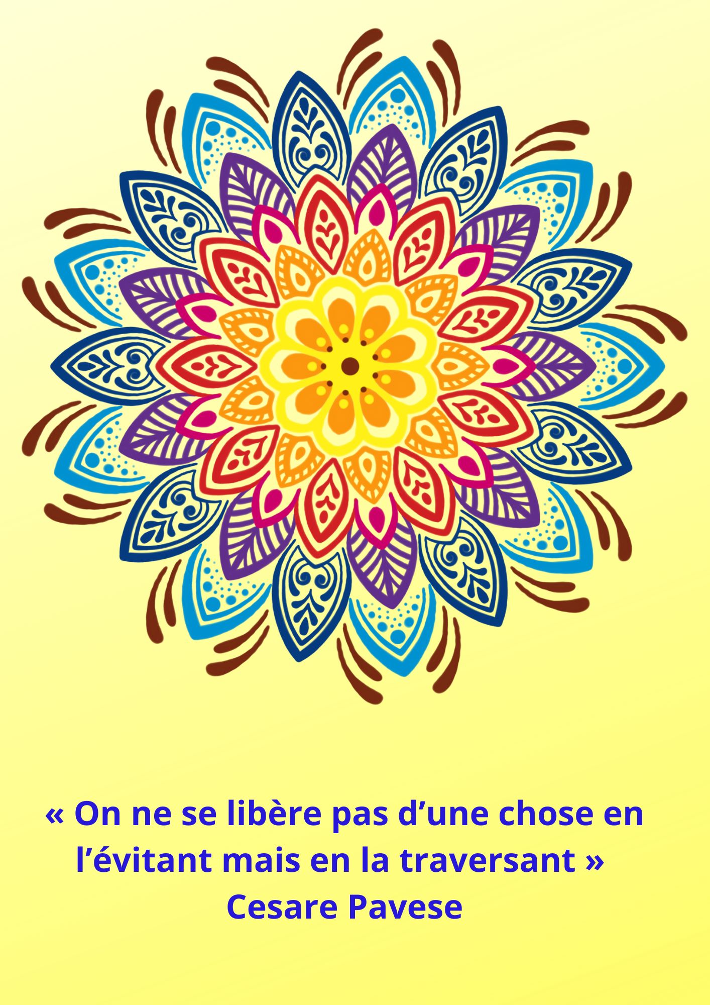 citation 146