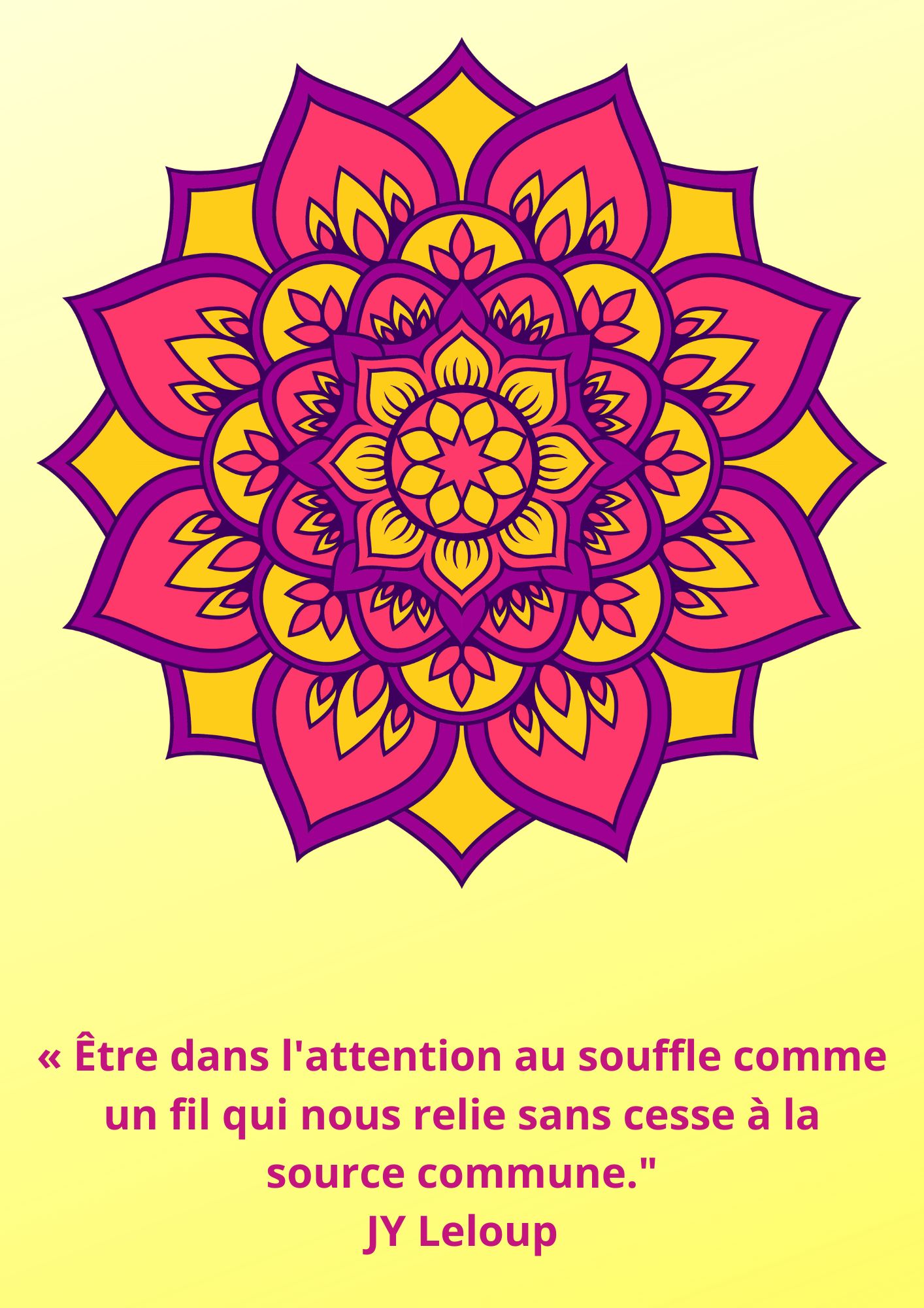 citation 163