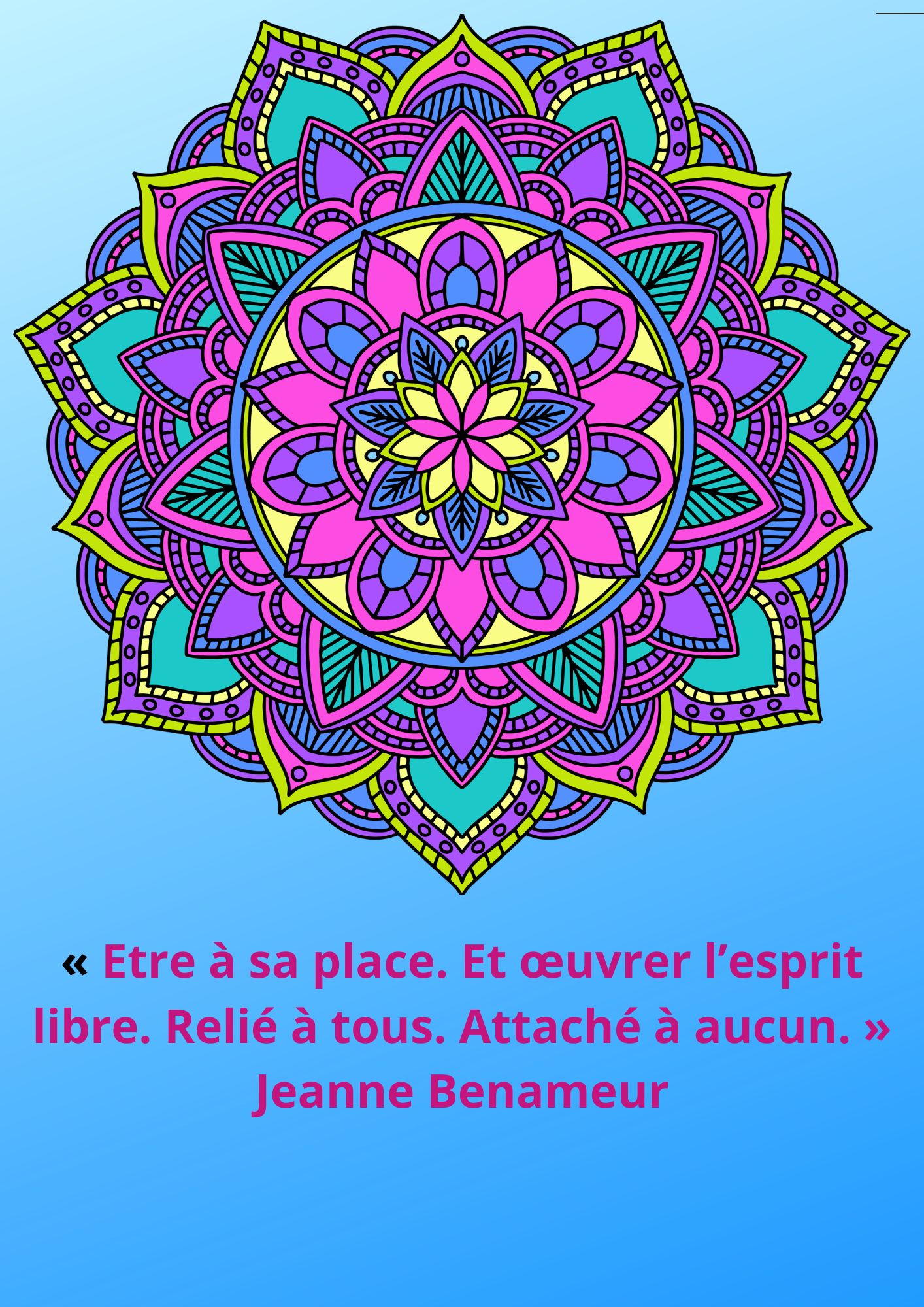 citation 206
