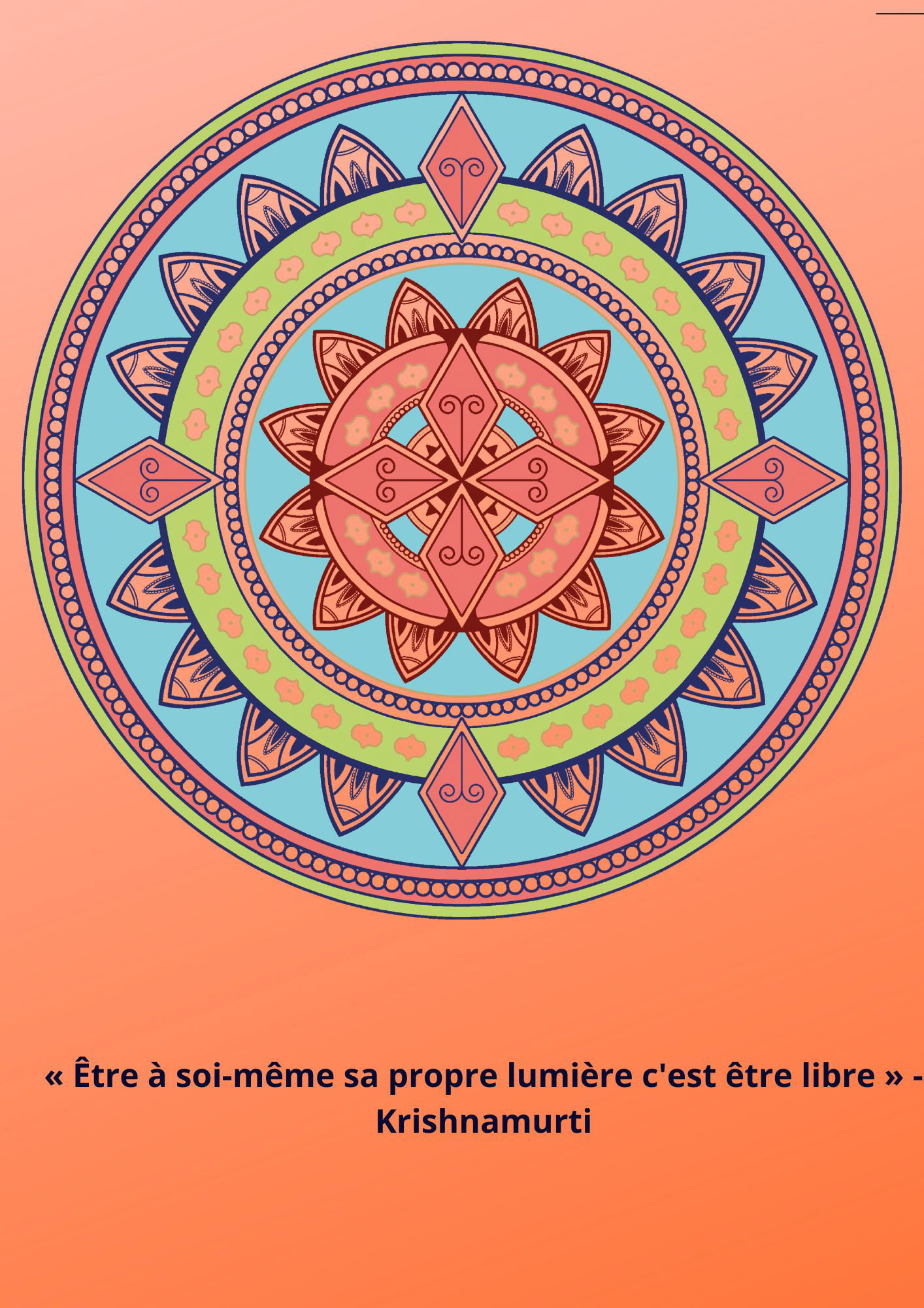 citation 208 - 1