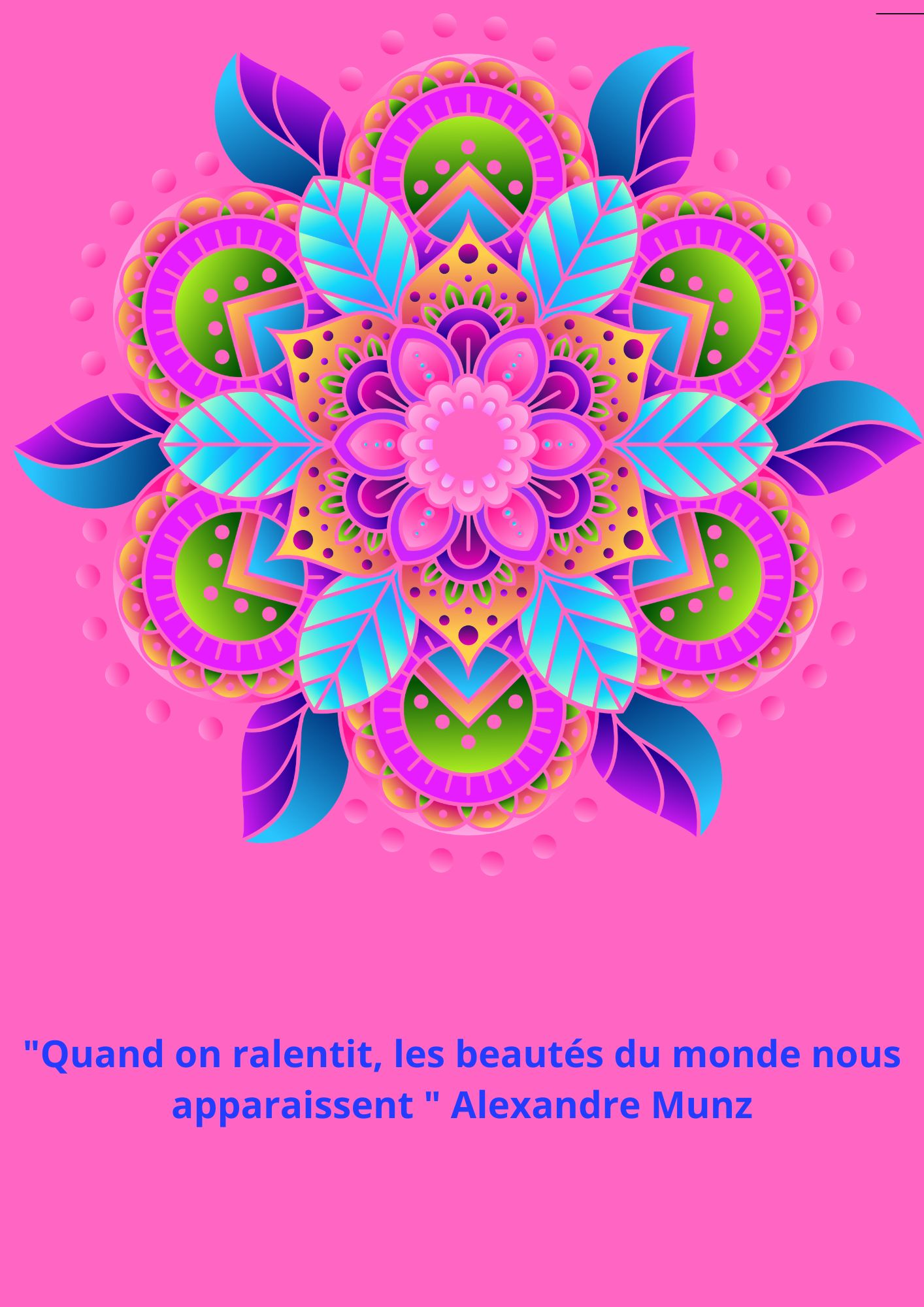 citation 211