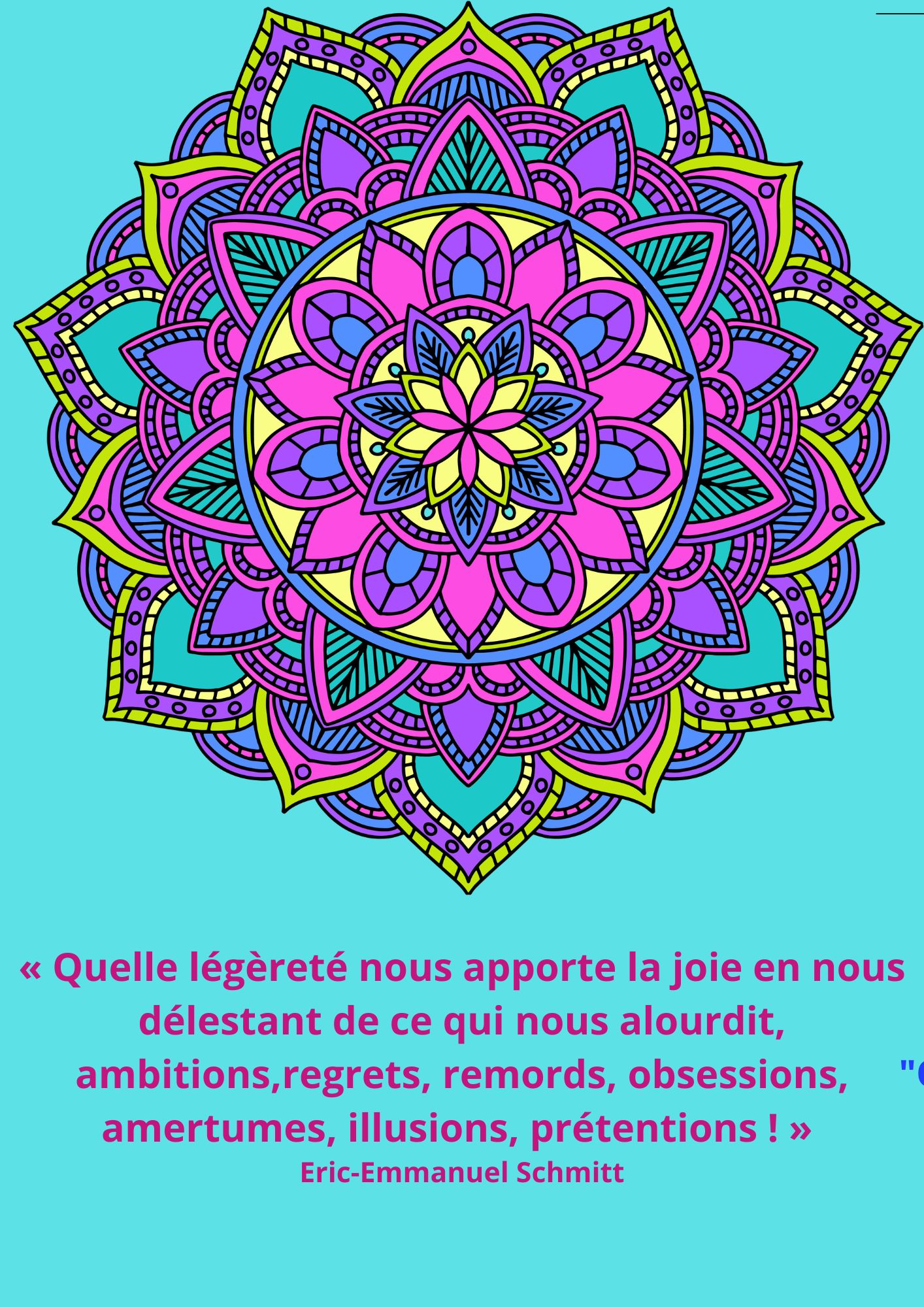 citation 213