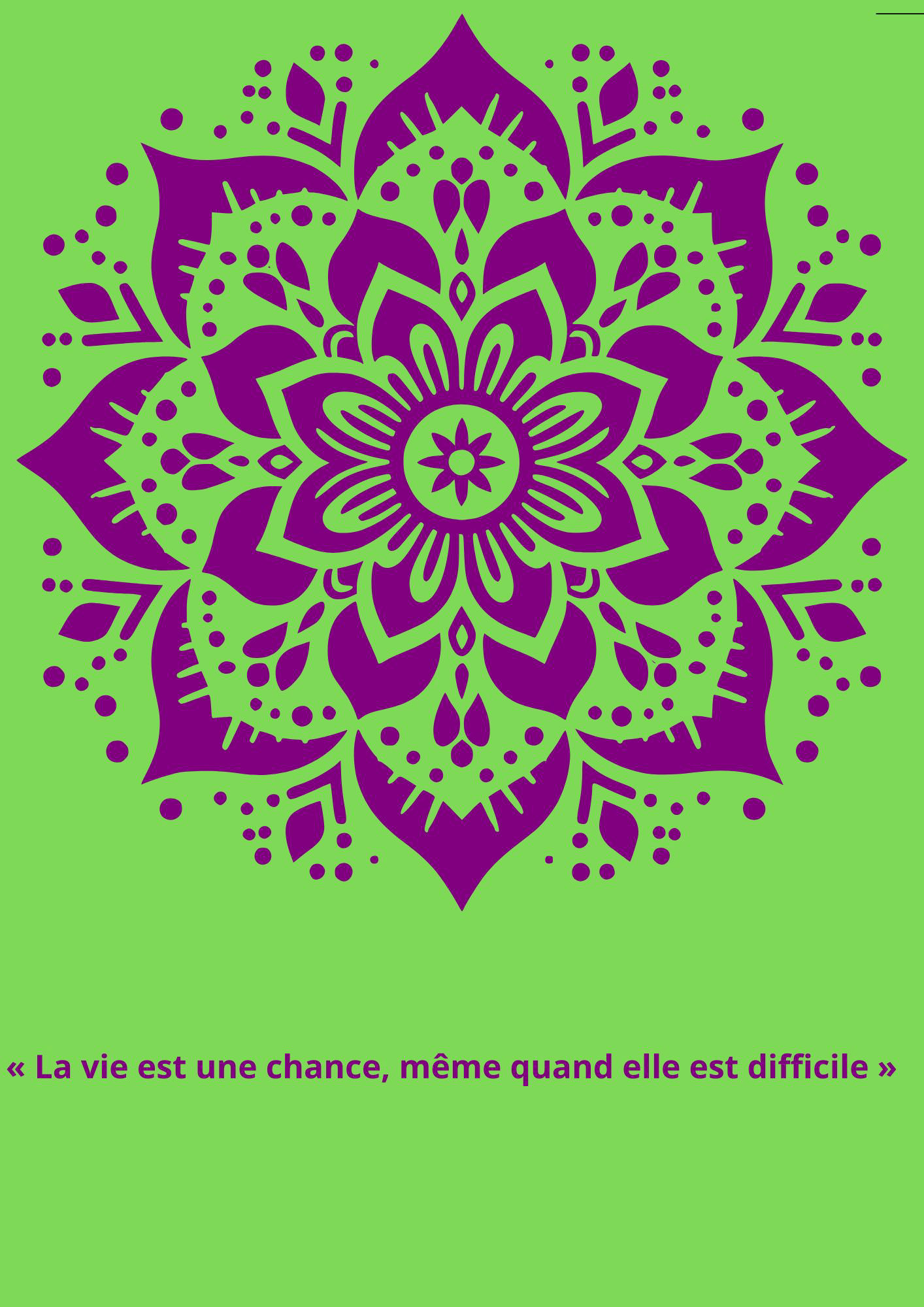 citation 215 - 1