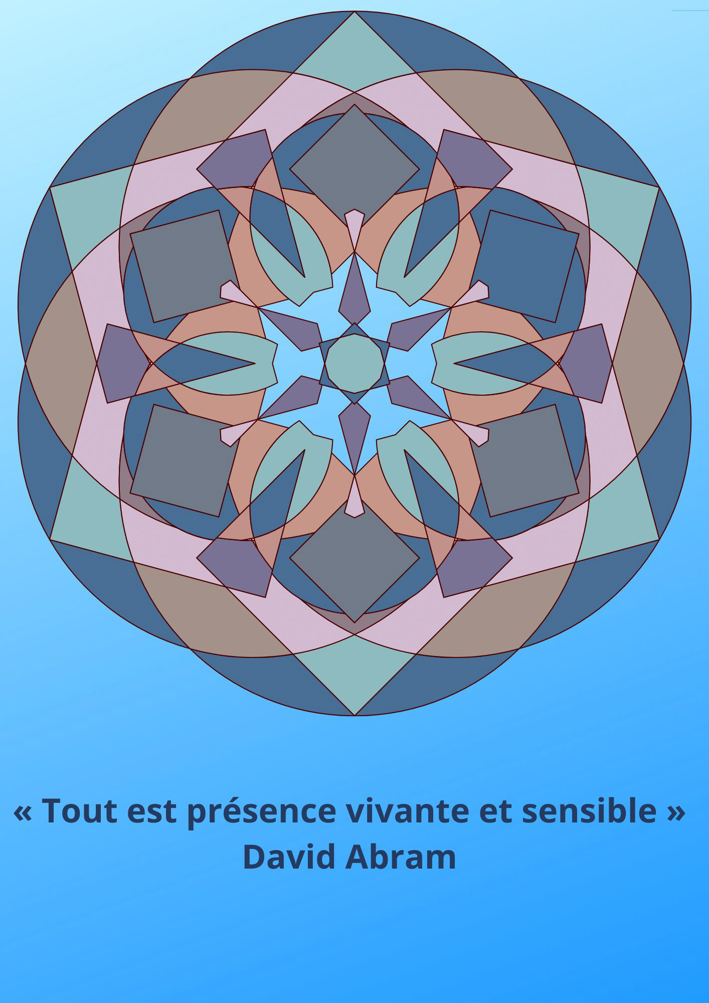 citation 218 - 1