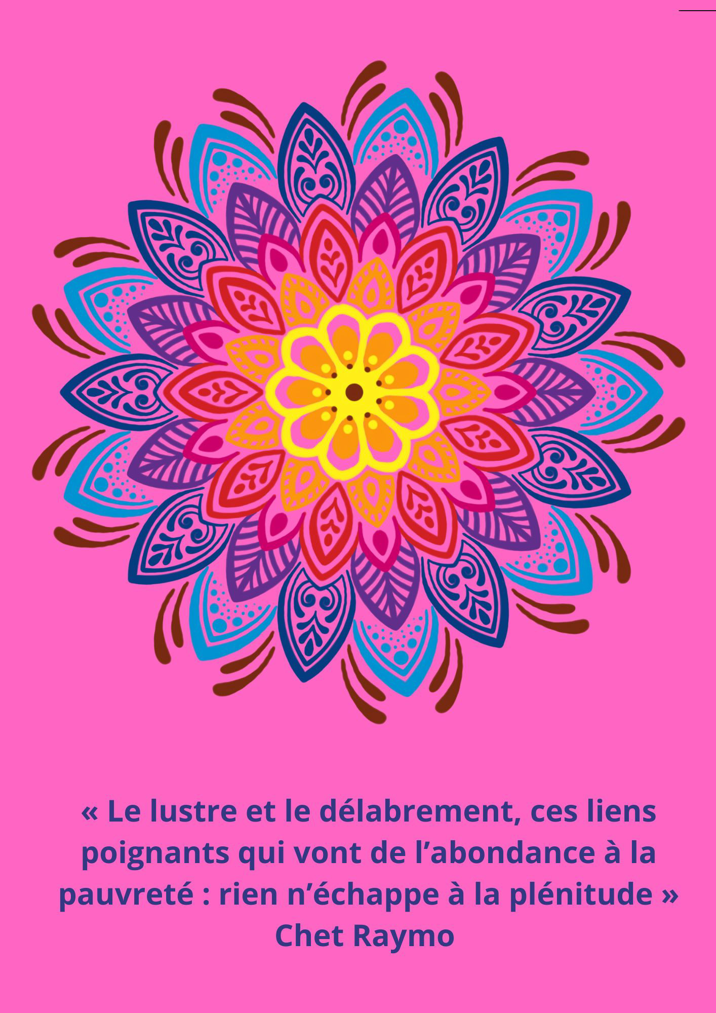 citation 219 - 1