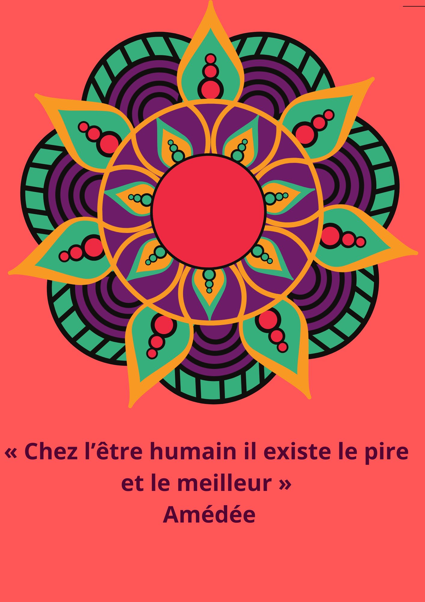citation 230